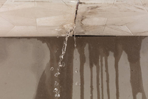 Professional Flood Damage Cleanup technician working in Willow Wood, OH